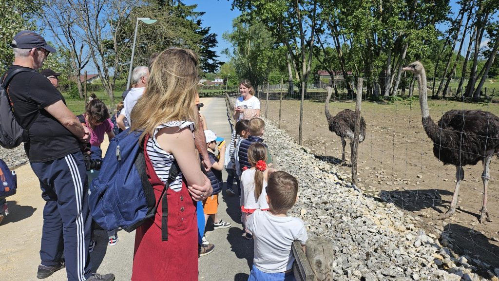 Escapade en famille autour de Morestel : visite de la ferme pédagogique du Père Louis à Vézeronce-Curtin