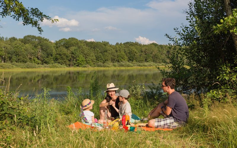 Aires de pique-nique