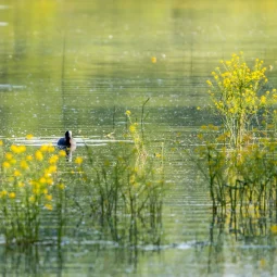 Accueil – Les Balcons du Dauphiné, vos vacances en Isère !