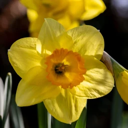 Accueil – Les Balcons du Dauphiné, vos vacances en Isère !