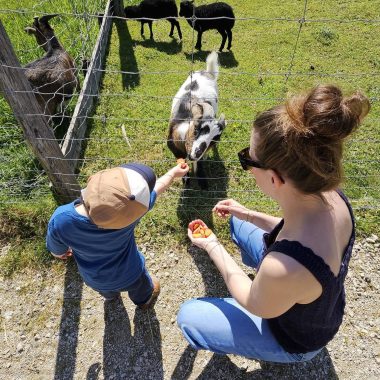 Escapade en famille autour de Morestel : visite de la ferme pédagogique du Père Louis à Vézeronce-Curtin