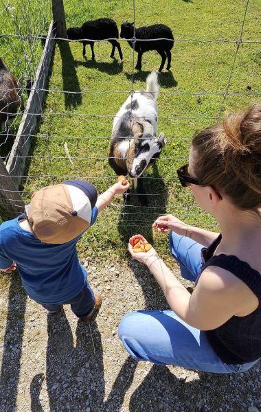 Escapade en famille autour de Morestel : visite de la ferme pédagogique du Père Louis à Vézeronce-Curtin