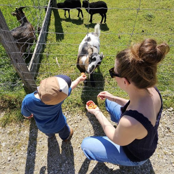 Escapade en famille autour de Morestel : visite de la ferme pédagogique du Père Louis à Vézeronce-Curtin