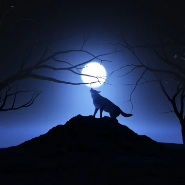 Accueil – Les Balcons du Dauphiné, vos vacances en Isère !