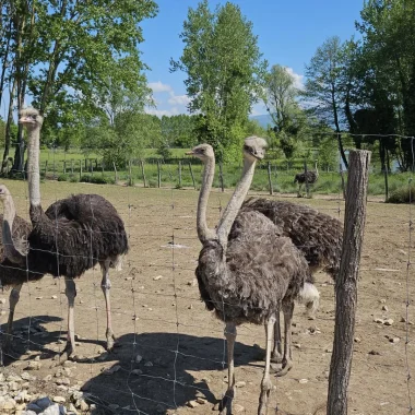Accueil – Les Balcons du Dauphiné, vos vacances en Isère !