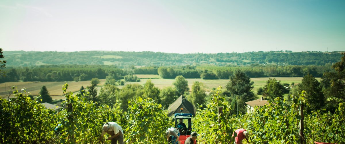 Terroir et saveurs des Balcons
